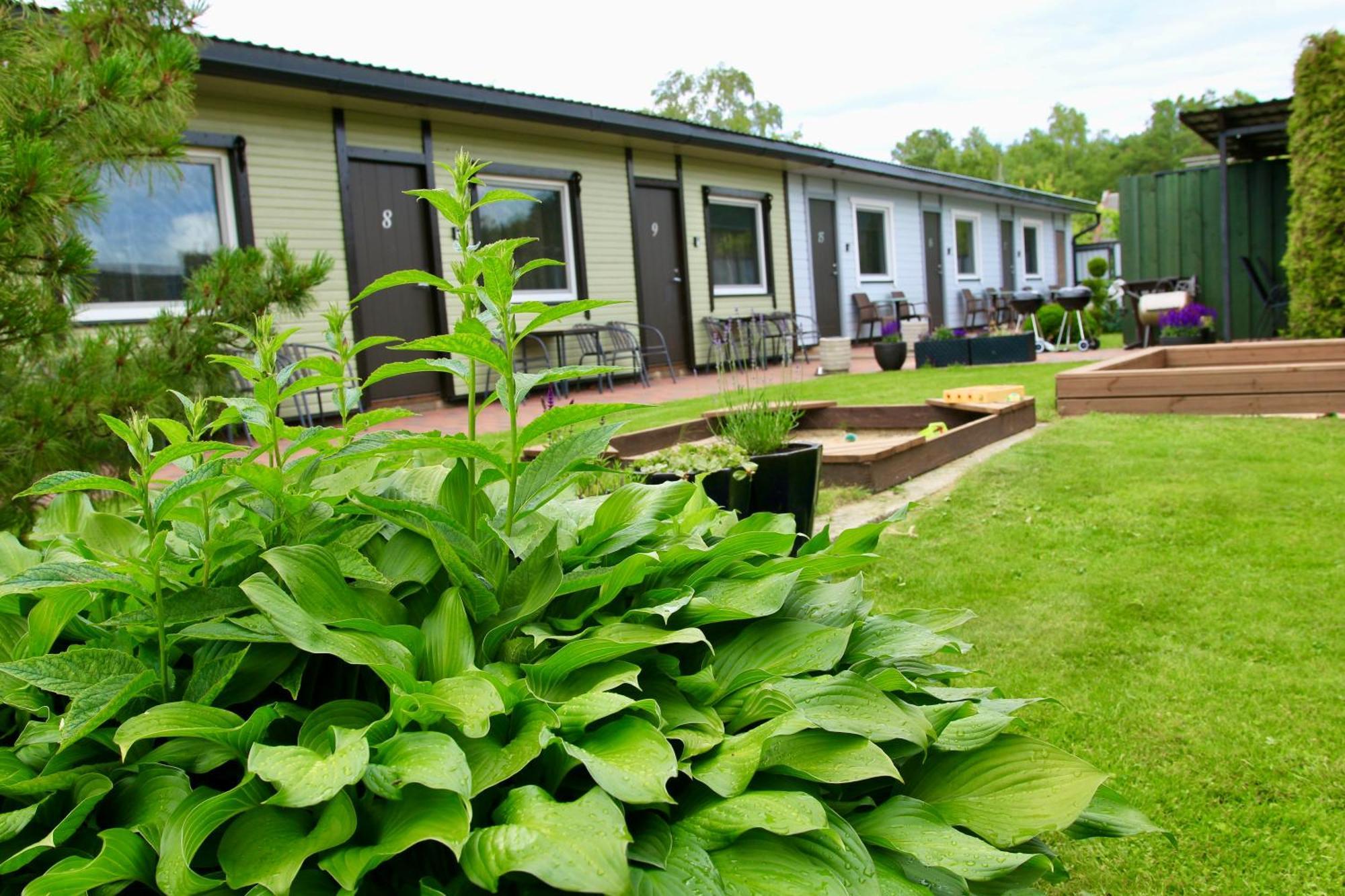 Guesthouse Maenniku Пярну Екстериор снимка